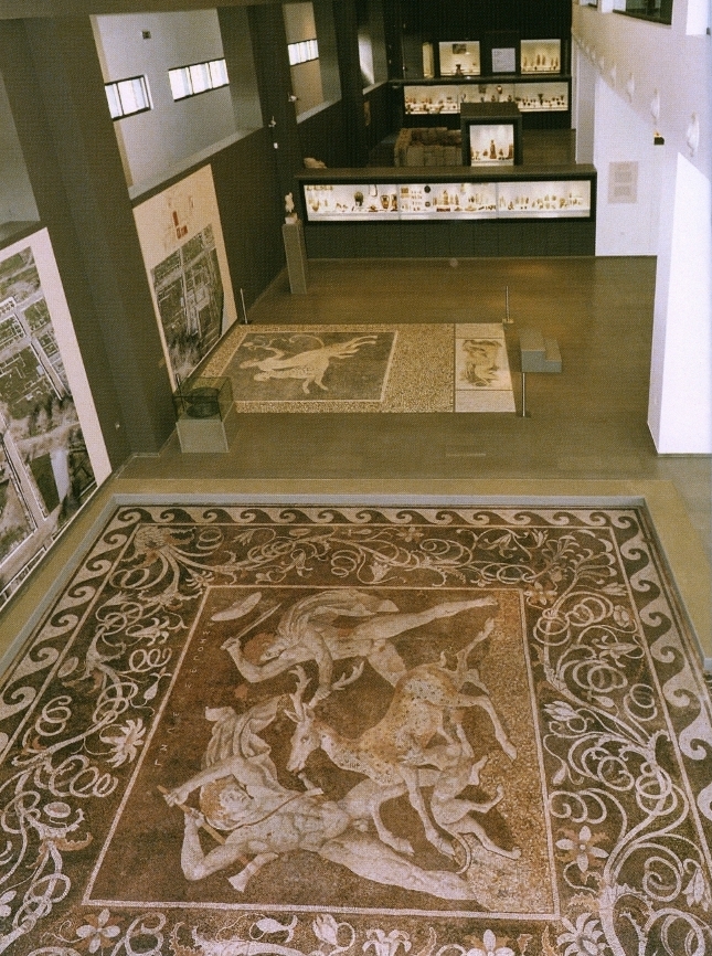 PellaMuseoMosaiciPavimentali.jpeg