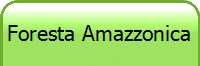Foresta Amazzonica
