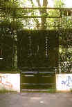 Foto Cesare Badini